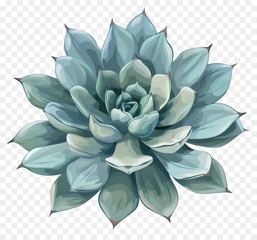 Planta Suculenta，Planta Suculenta Azul PNG