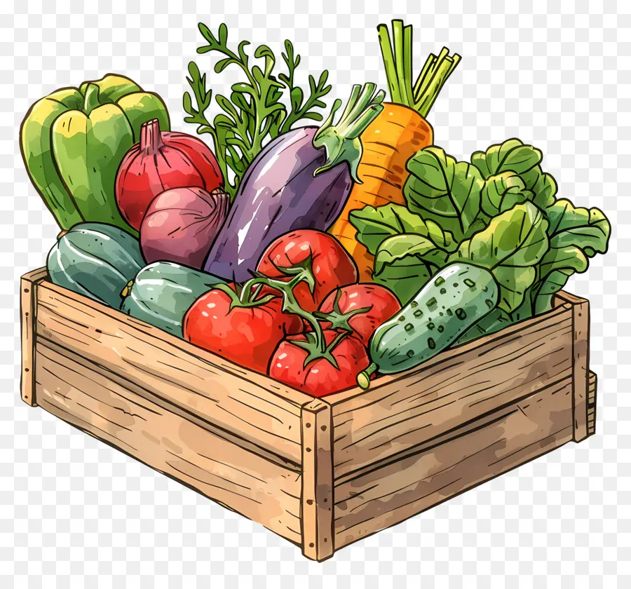 Caja Vegetal，Verduras PNG