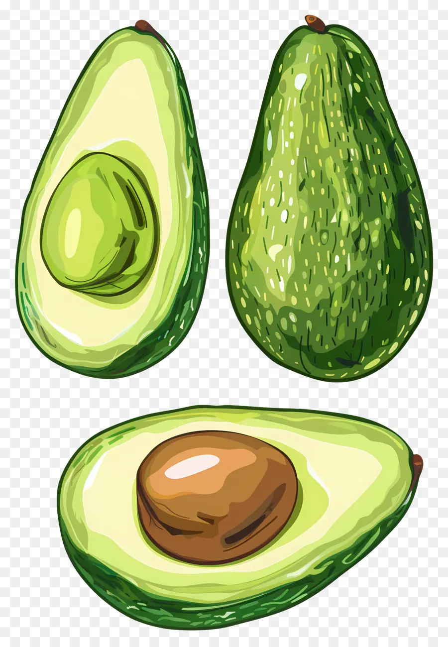 Palta，Verde PNG