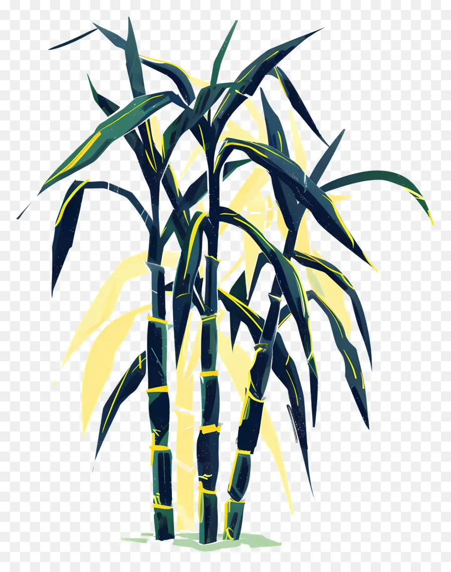 Sugarcane，Palmera PNG