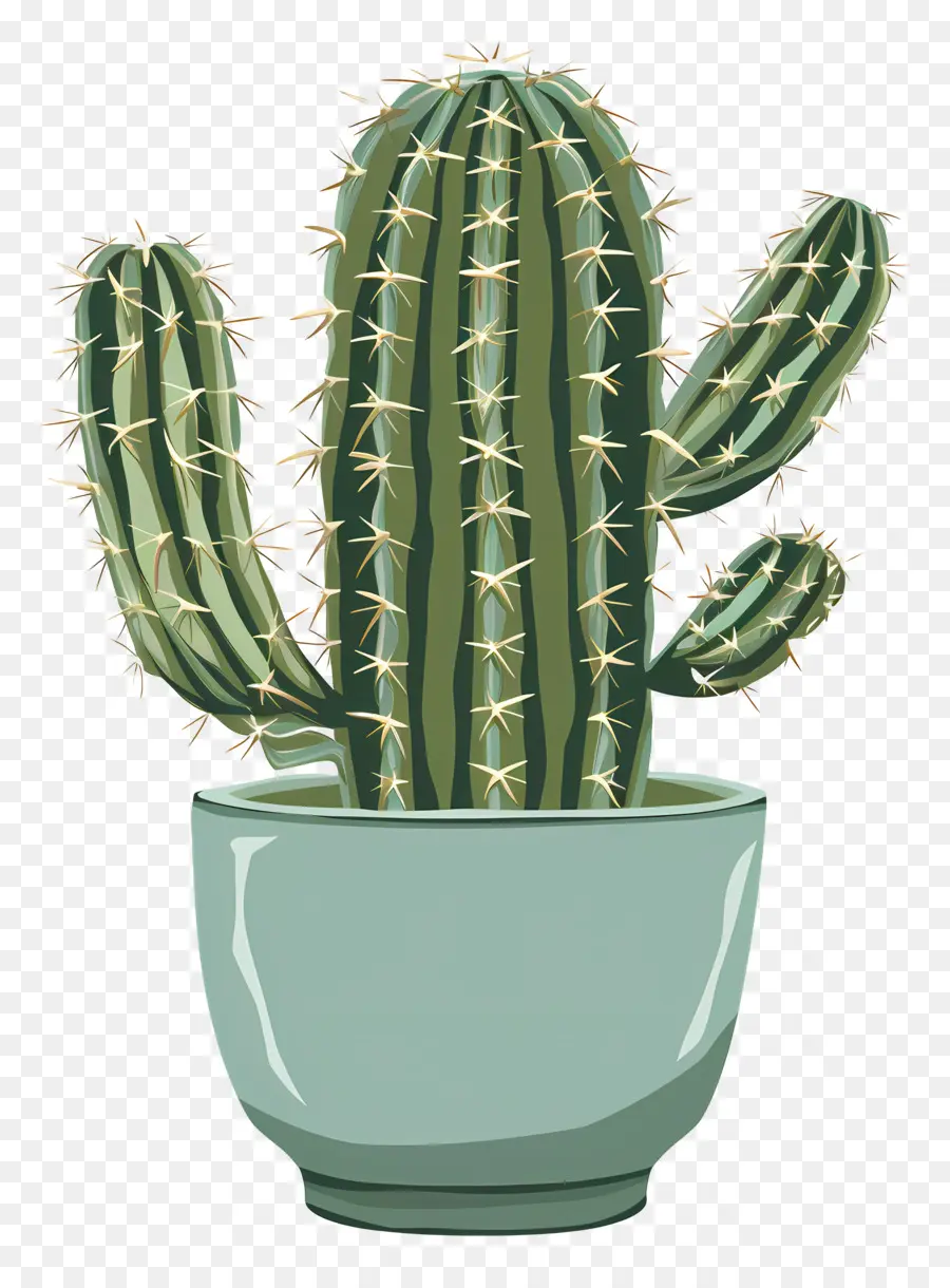 Verde Cactus，Planta De Cactus PNG