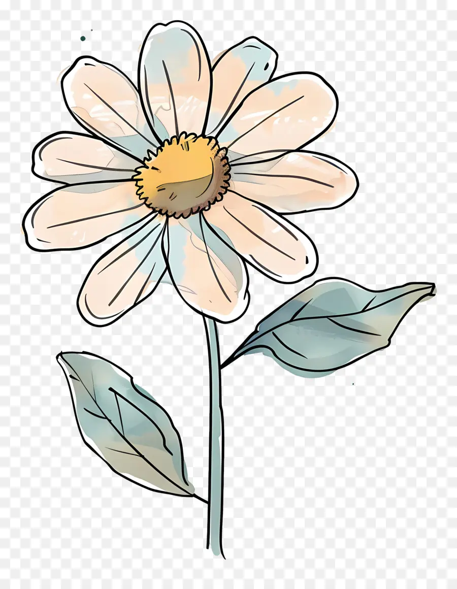 Cartoon Flower，Margarita PNG