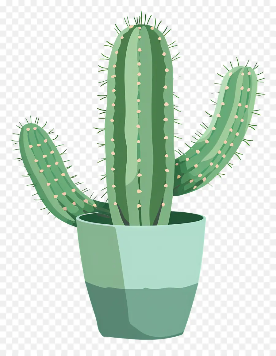 Verde Cactus，Cactus PNG