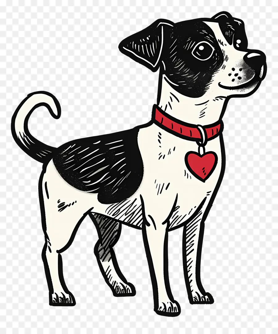 Perro De Dibujos Animados，Jack Russell Terrier PNG