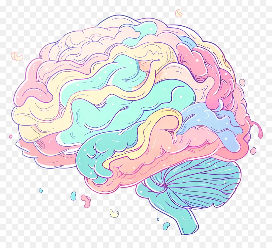 Dibujos Animados Cerebro，El Cerebro Humano PNG