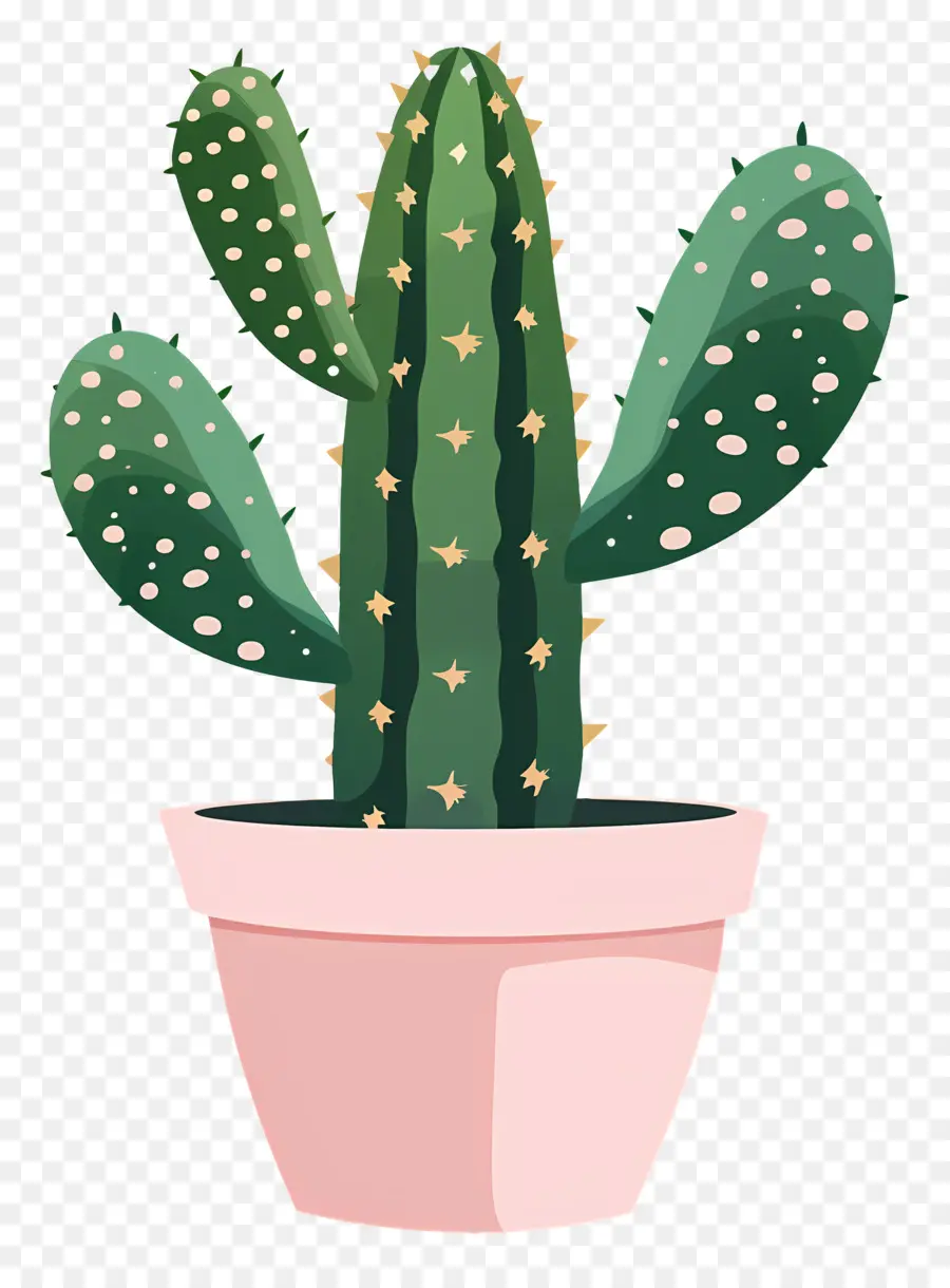 Verde Cactus，Cactus PNG