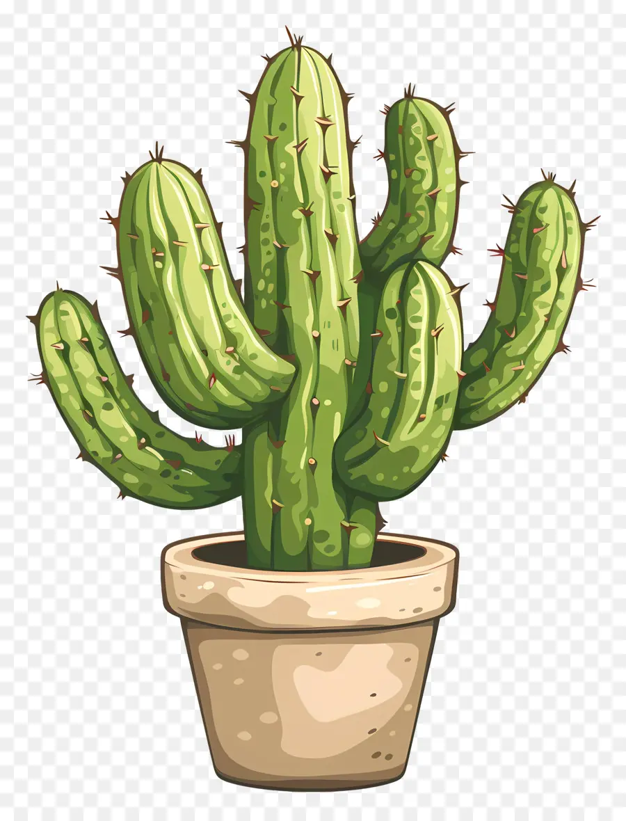 Verde Cactus，Cactus PNG