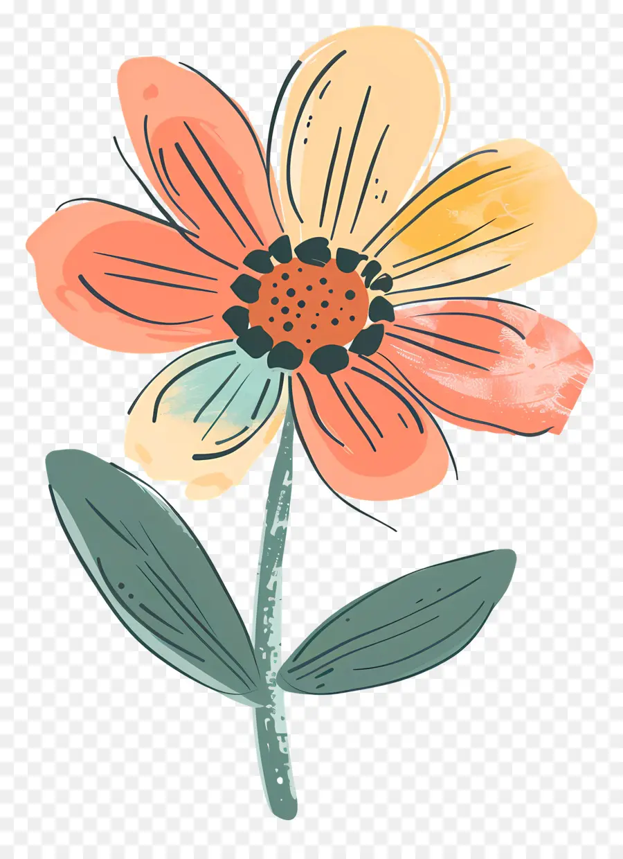 Cartoon Flower，Flor De Croquis PNG