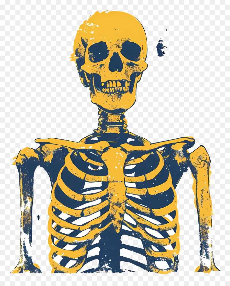 Esqueleto，Ropa Azul Y Amarilla PNG