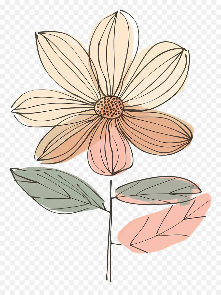 Cartoon Flower，Flor Rosa PNG