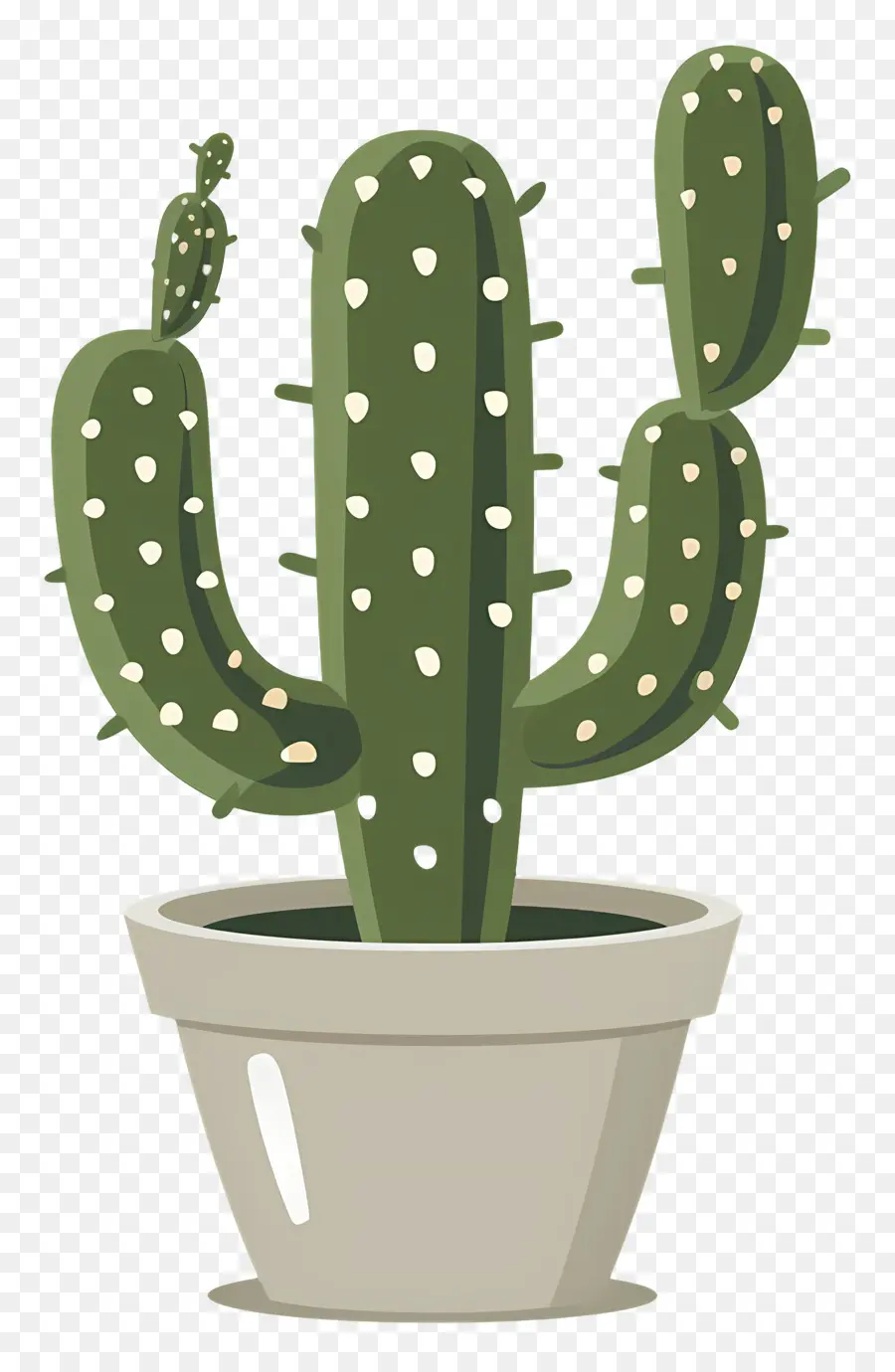 Verde Cactus，Planta De Cactus PNG