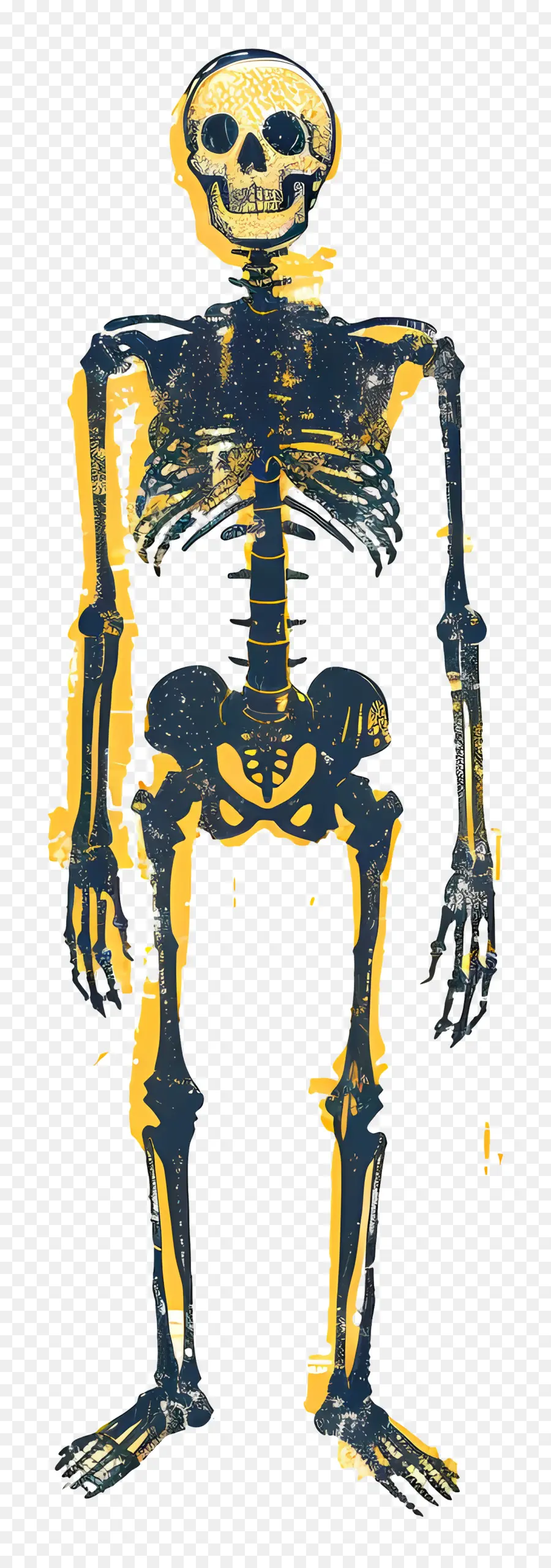 Esqueleto，Los Huesos PNG