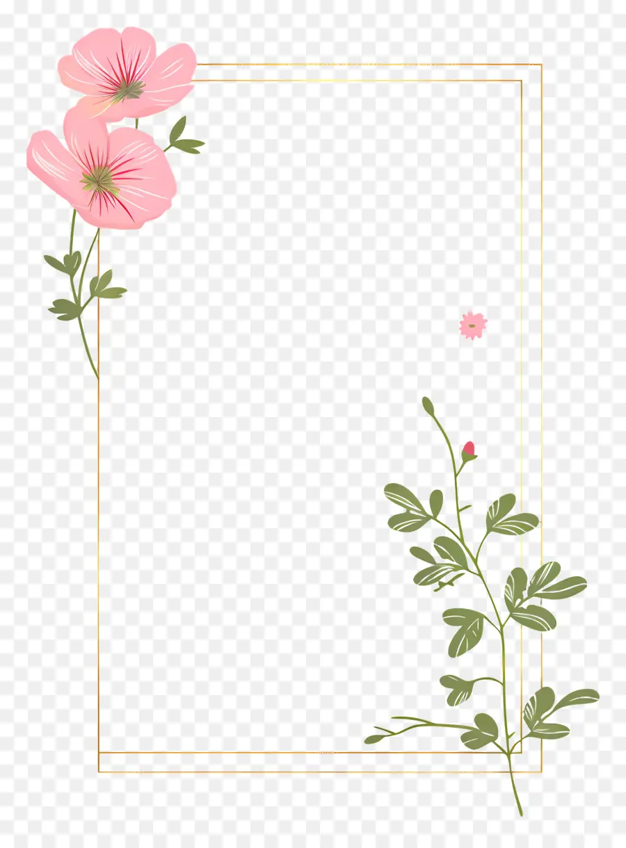 Línea De Oro，Flores De Color Rosa PNG