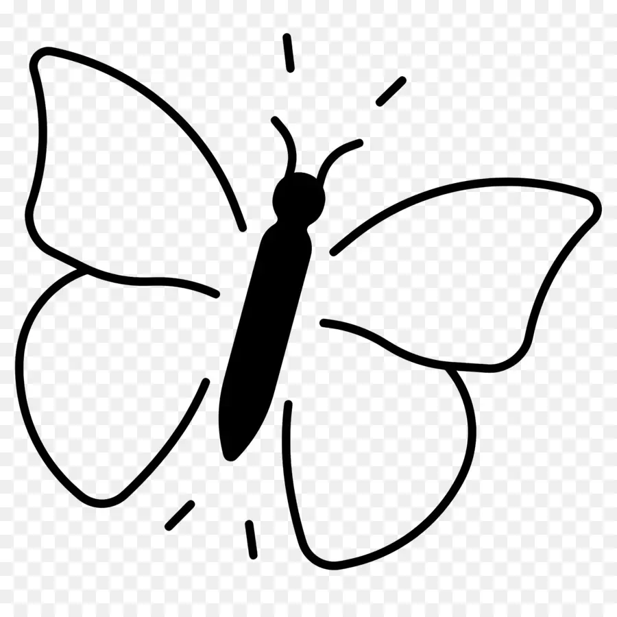 Mariposa，Black Background PNG