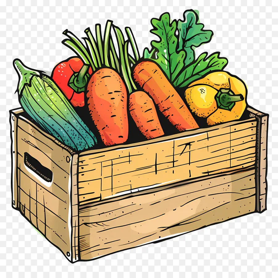 Caja Vegetal，Verduras PNG