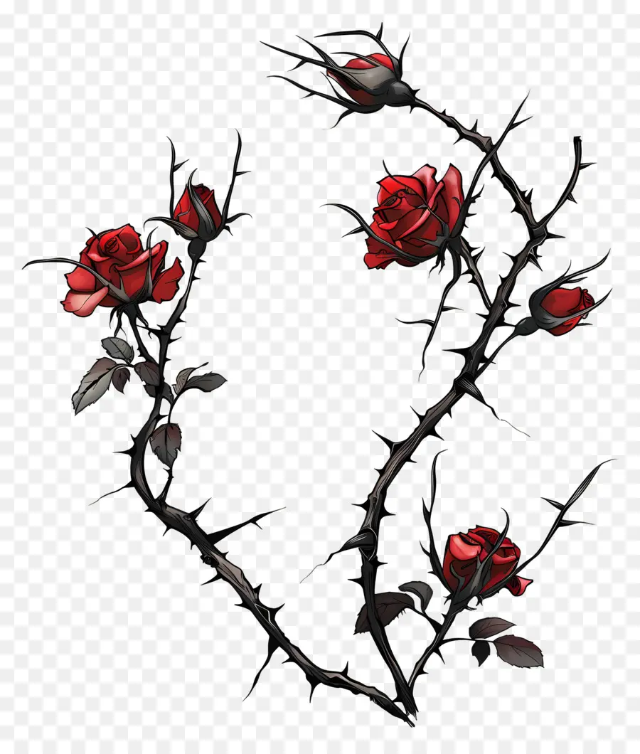 Espinas De Rosas，Rosas Rojas PNG