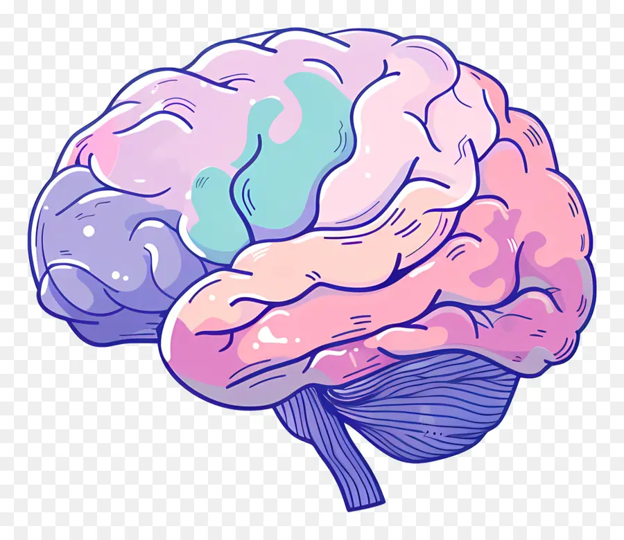 Dibujos Animados Cerebro，Cerebro PNG