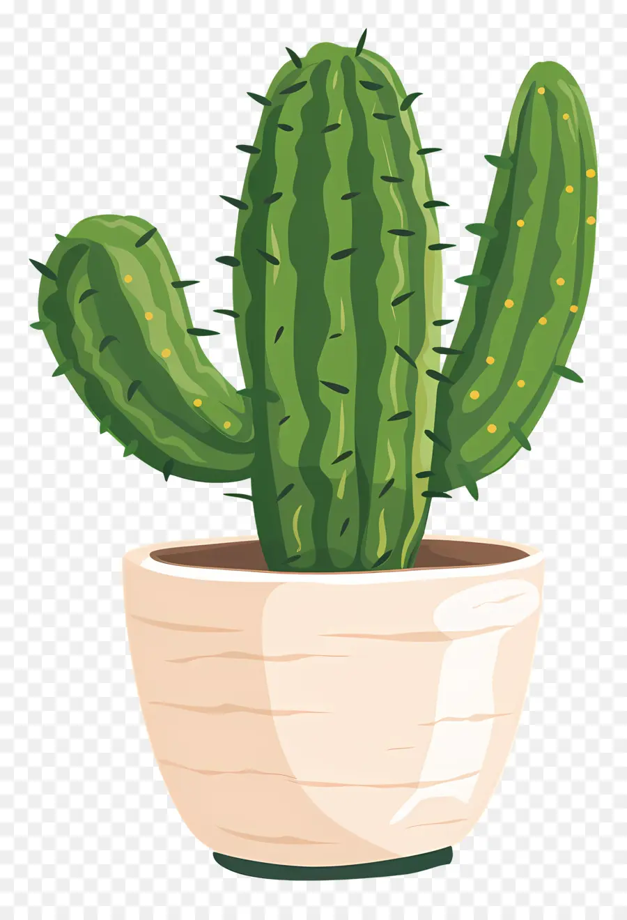 Verde Cactus，Cactus PNG