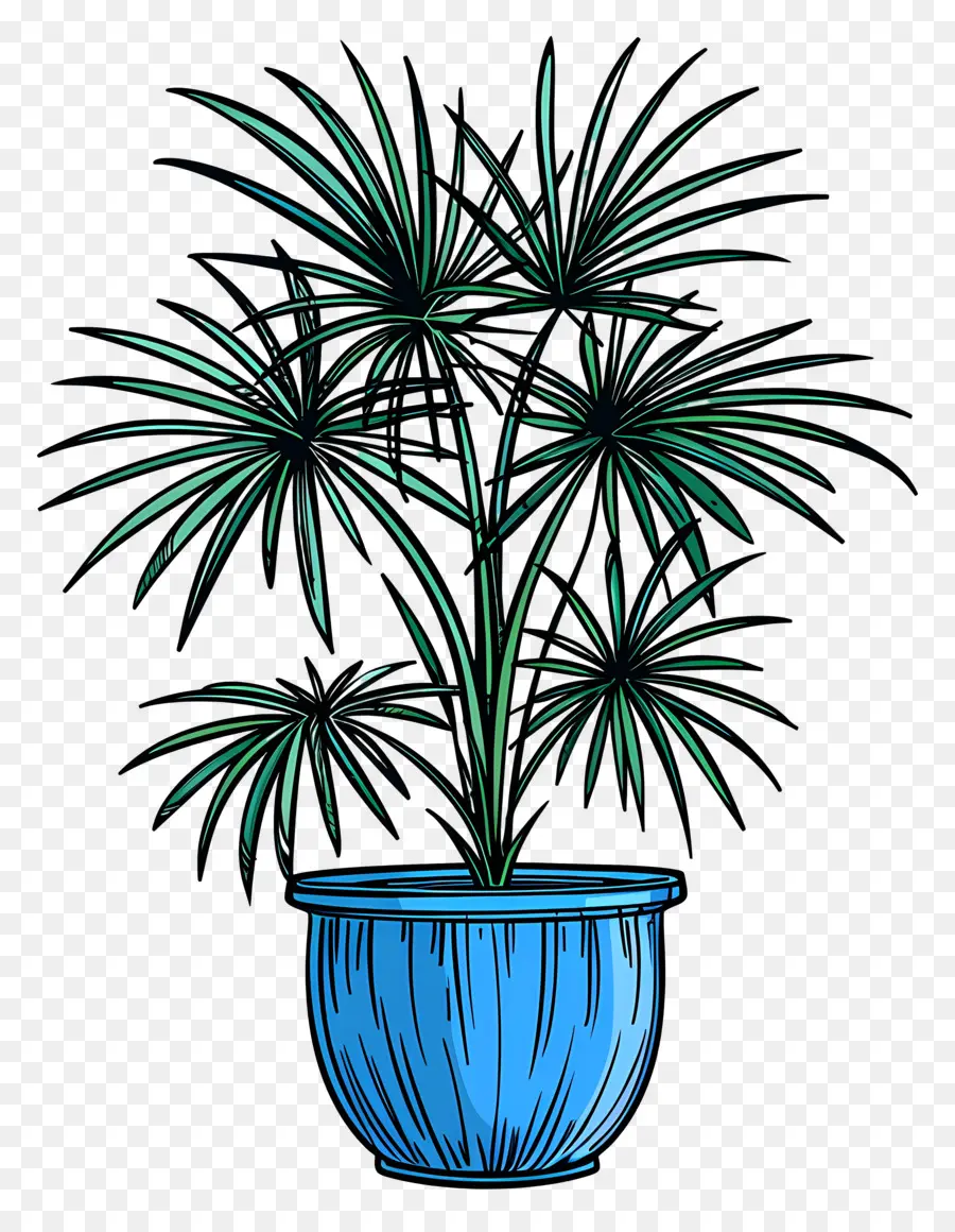 Palmera De Abanico Mexicana，Azul Bote PNG