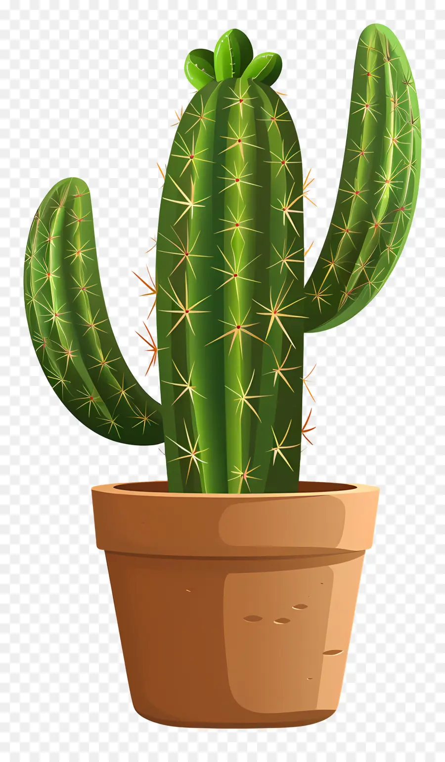 Verde Cactus，Suculentas PNG