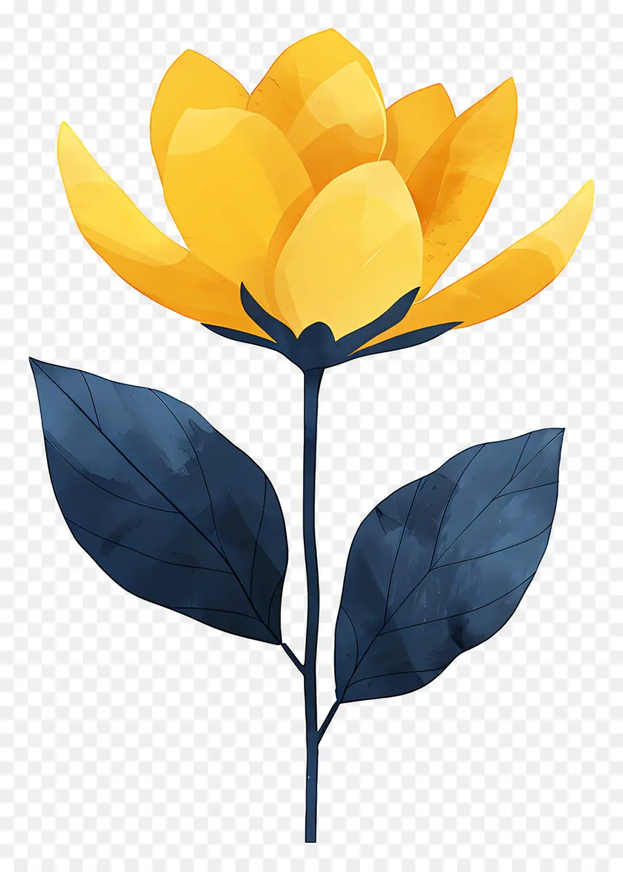 Flor，Flor Amarilla PNG