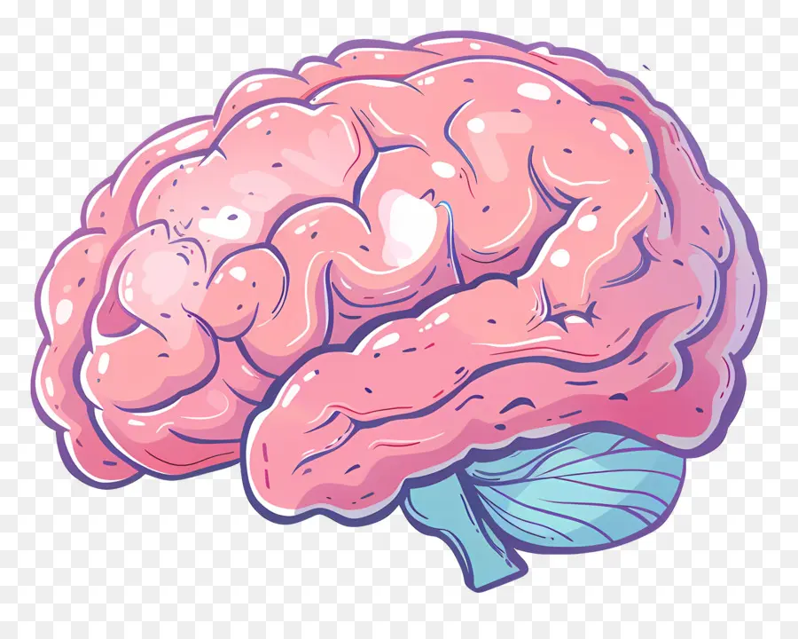 Dibujos Animados Cerebro，El Cerebro Humano PNG