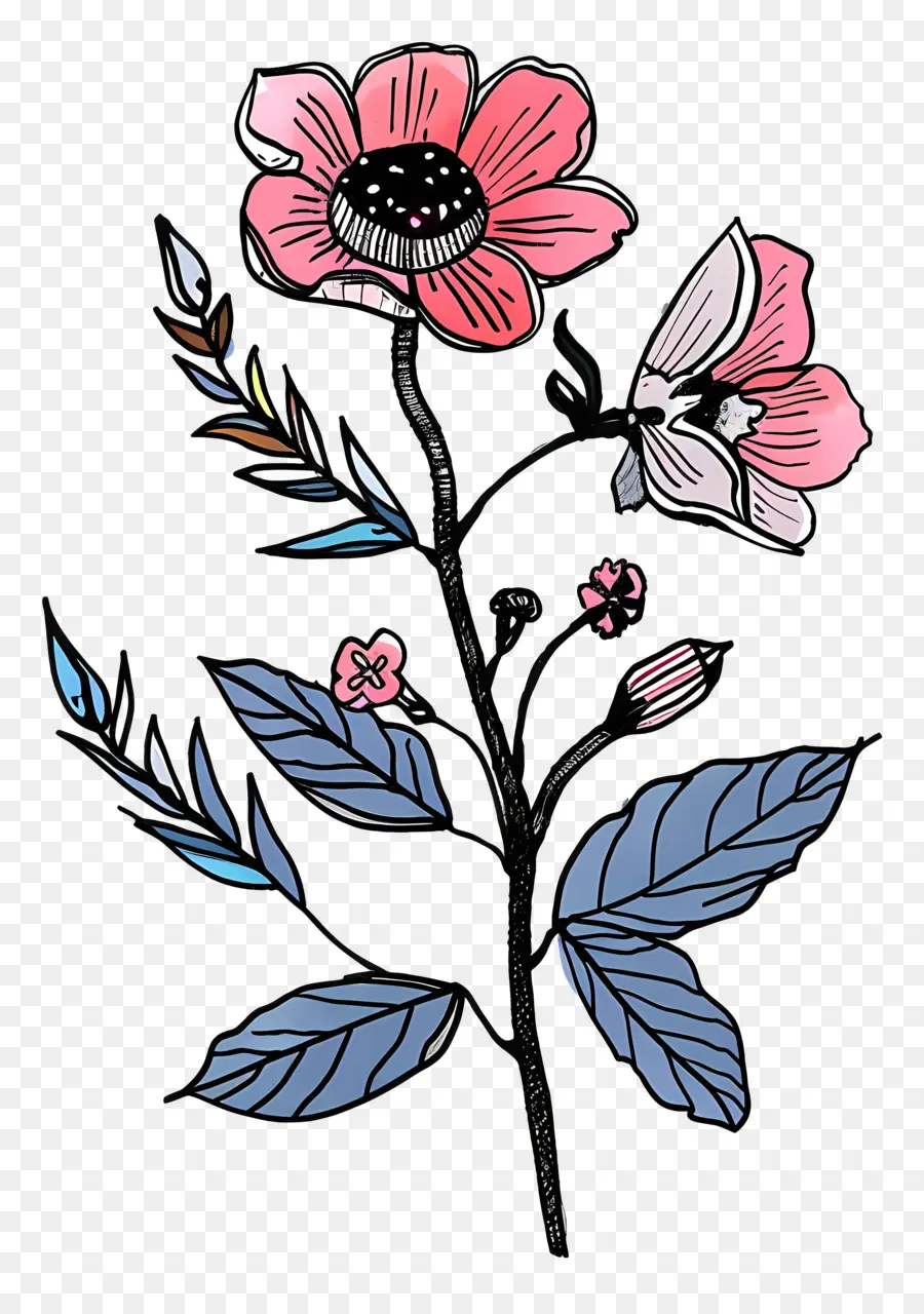 Cartoon Flower，Handdrawn PNG