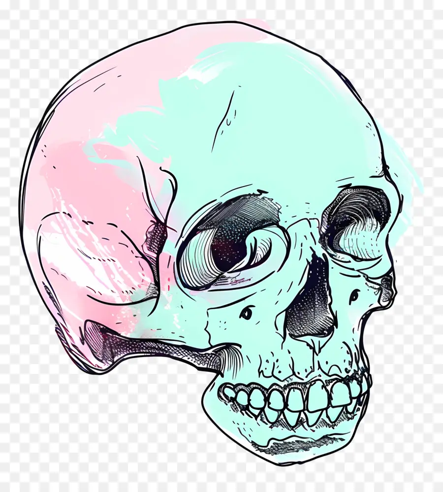 Calavera De Dibujos Animados，Calavera Con Gafas De Sol PNG