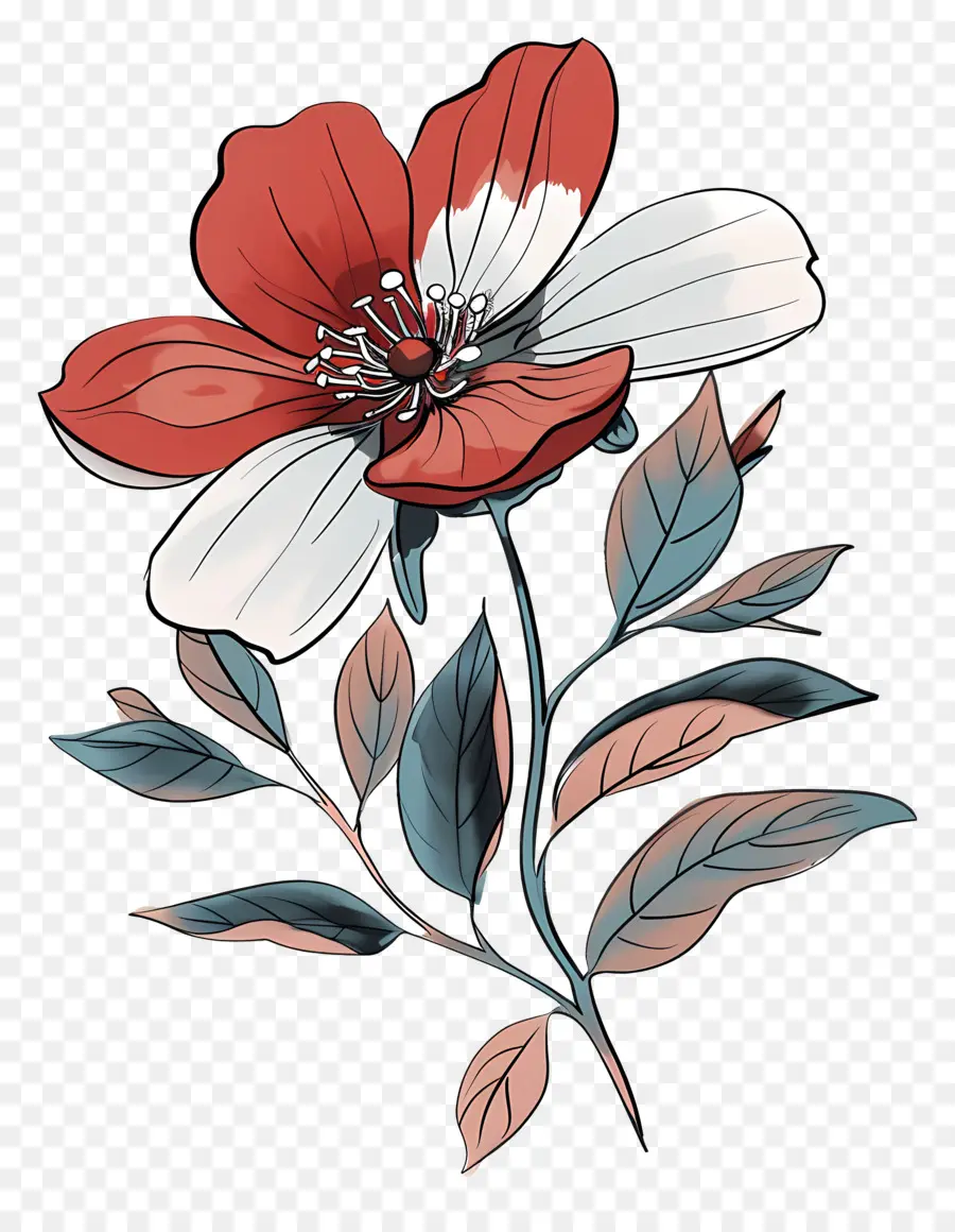 Cartoon Flower，Flor Roja Y Blanca PNG