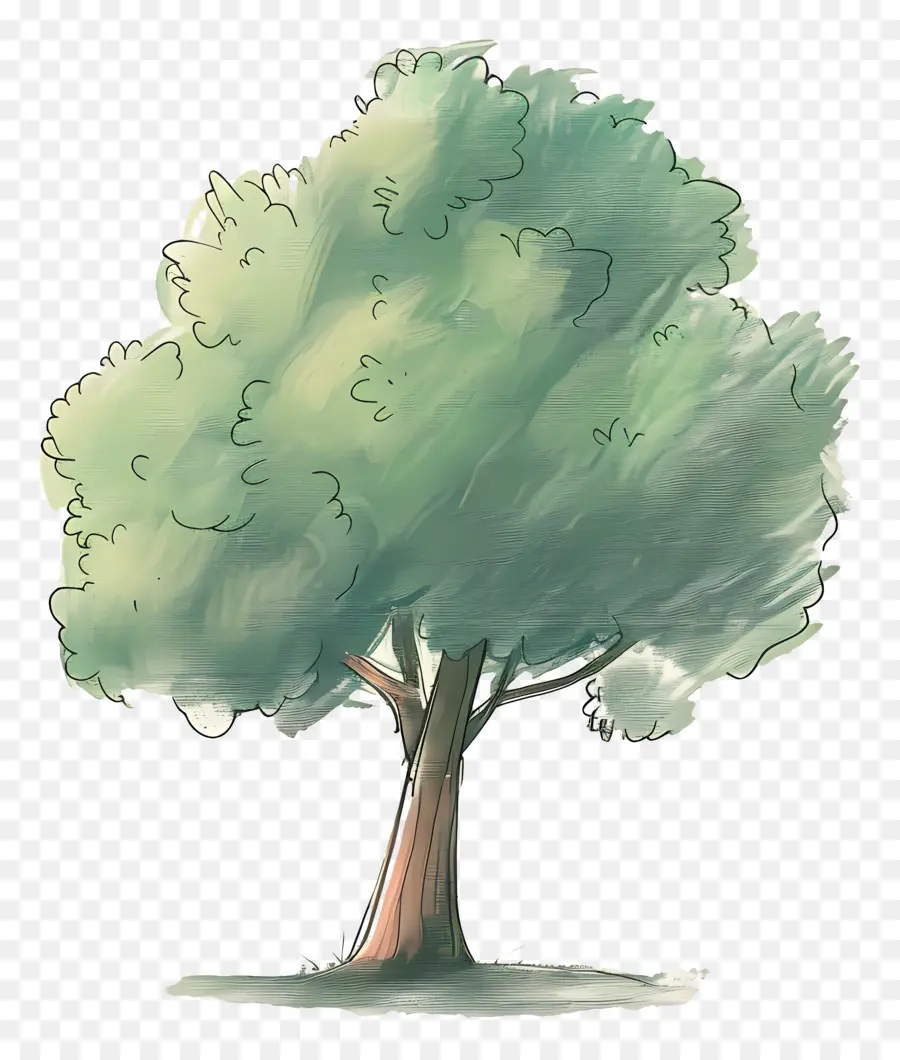 Dibujos Animados De árbol，Árbol PNG