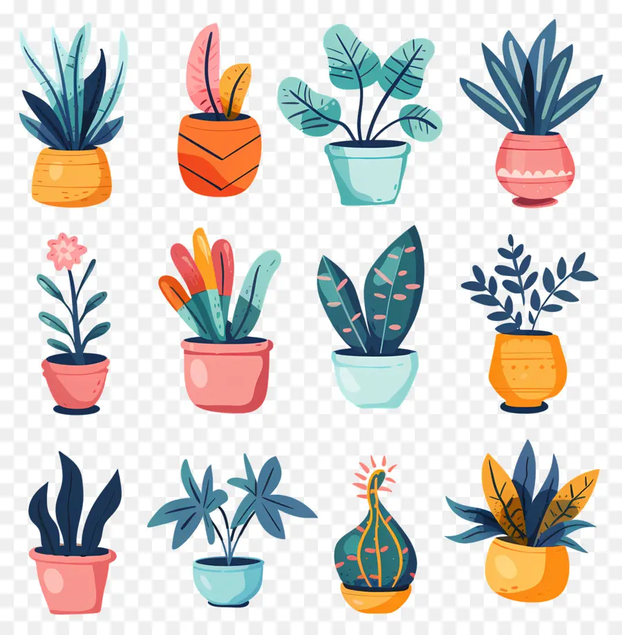 Plantas，Suculentas Verdes PNG