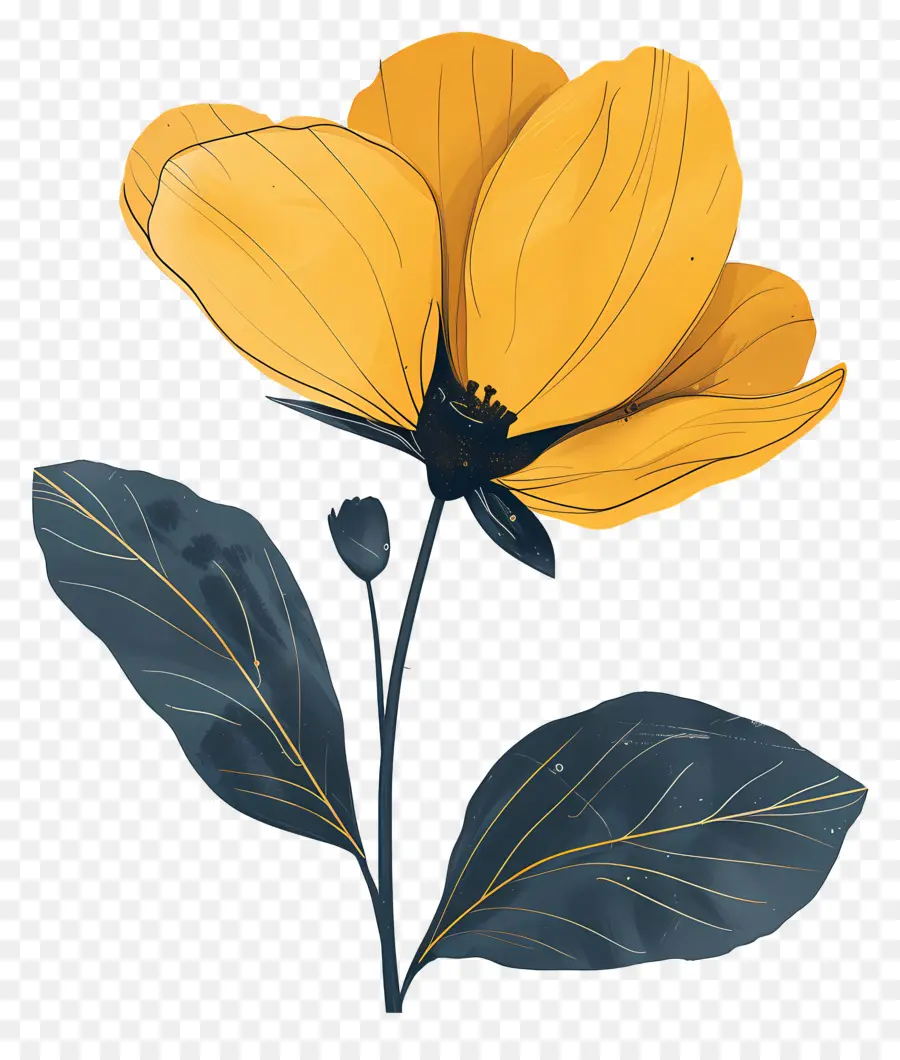 Flor，Flor Amarilla PNG