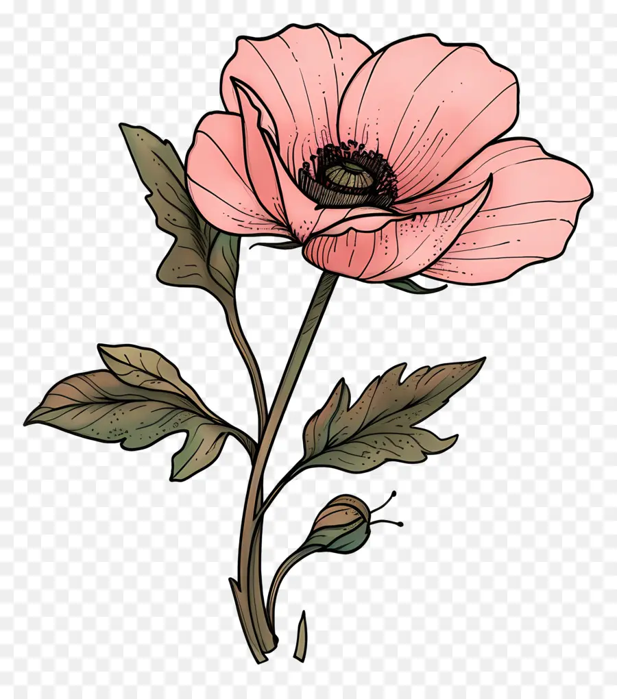 Cartoon Flower，Flor PNG