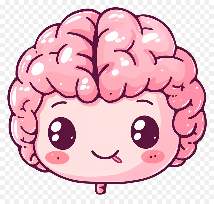 Lindo Cerebro，Cerebro PNG