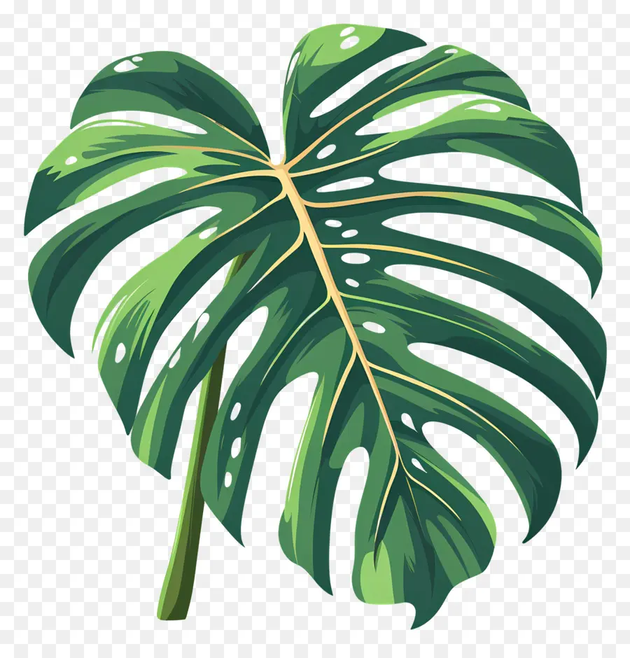 Monstera De La Hoja，Monstruo De La Hoja PNG