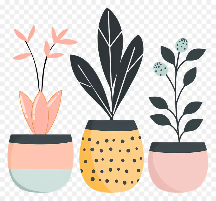 Las Plantas，Las Plantas En Maceta PNG