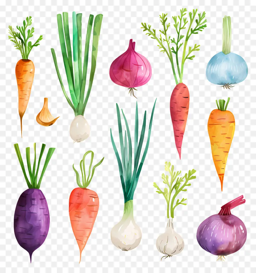 Verduras，Las Zanahorias PNG