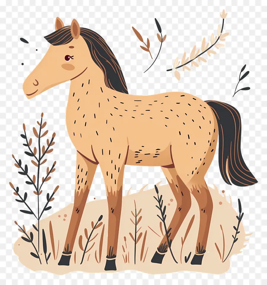 Lindo Caballo，Caballo PNG