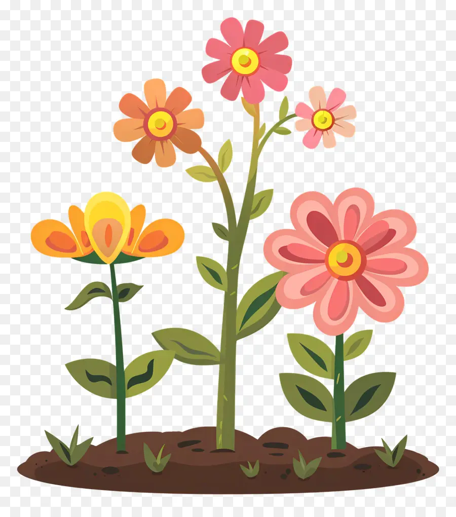 Flores Que Crecen，Flores PNG