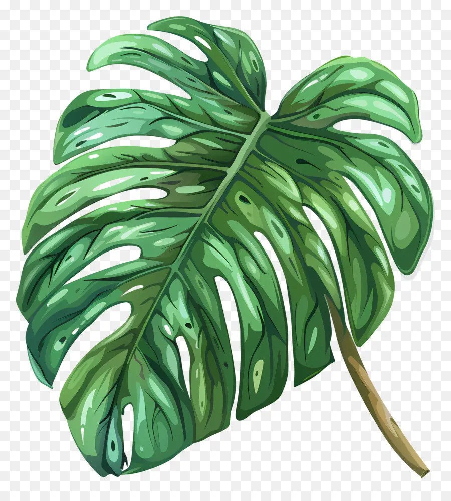 Monstera De La Hoja，Planta De Hoja Grande PNG