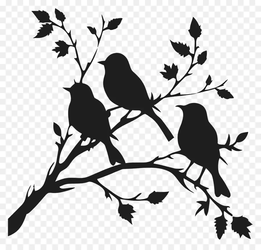 Pájaros Sentados En Una Rama，Aves PNG