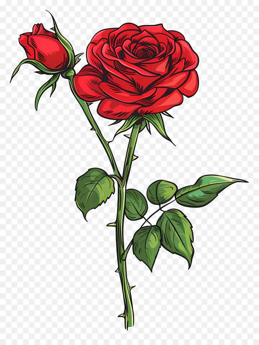 Solo Rose，Rosa Roja PNG