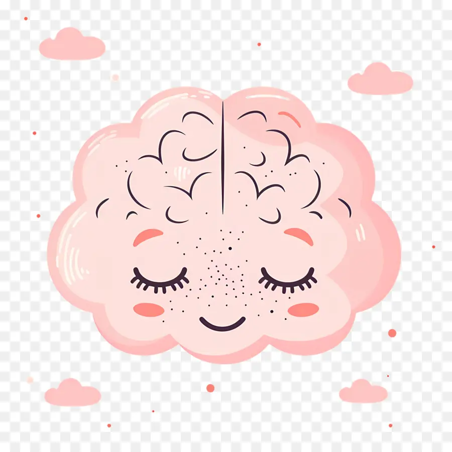 Lindo Cerebro，Cerebro PNG