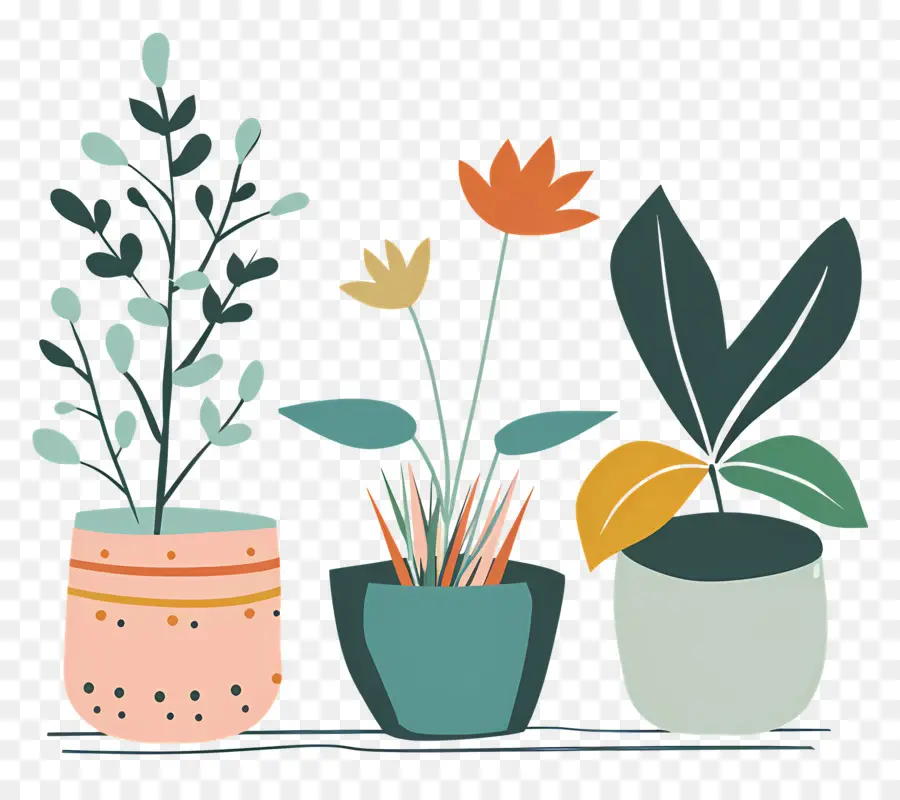 Las Plantas，Las Plantas En Maceta PNG