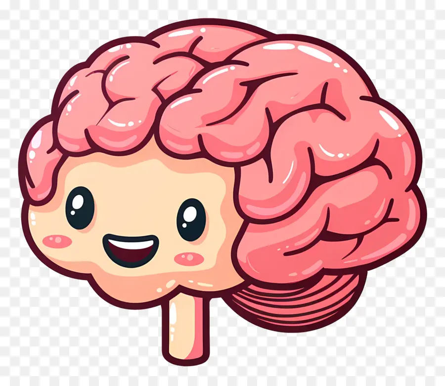 Lindo Cerebro，El Cerebro Humano PNG