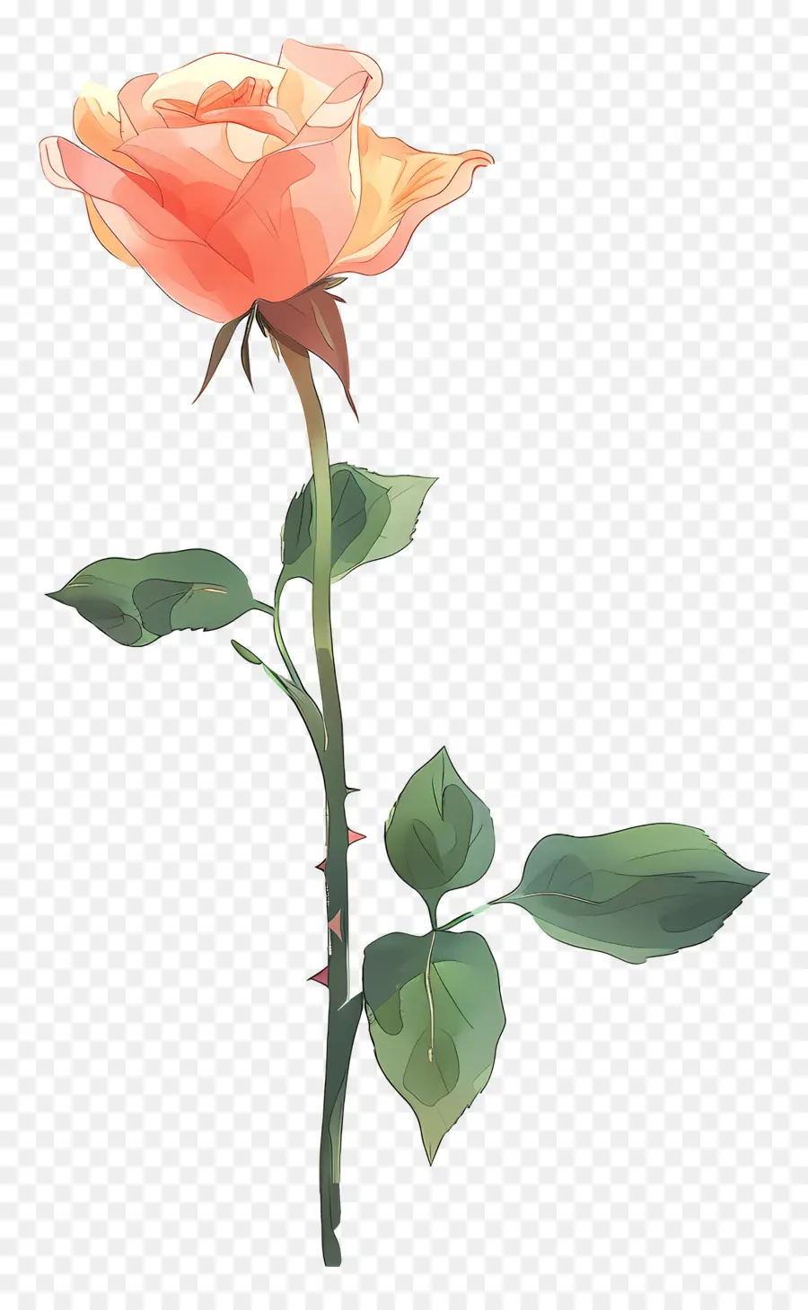 Solo Rose，Rosa Rosa PNG