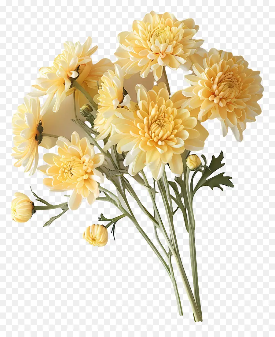 Las Flores De Crisantemo，Crisantemos Amarillos PNG