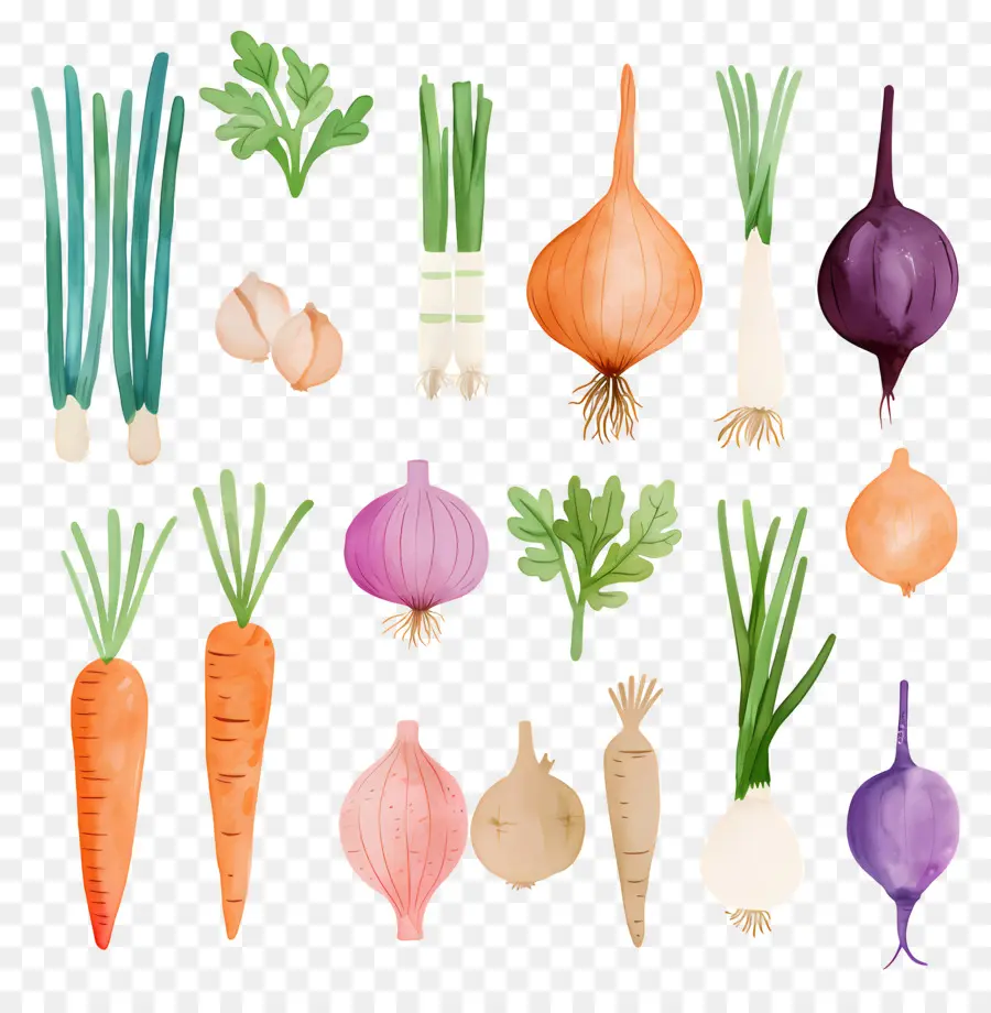 Verduras，Fresco PNG