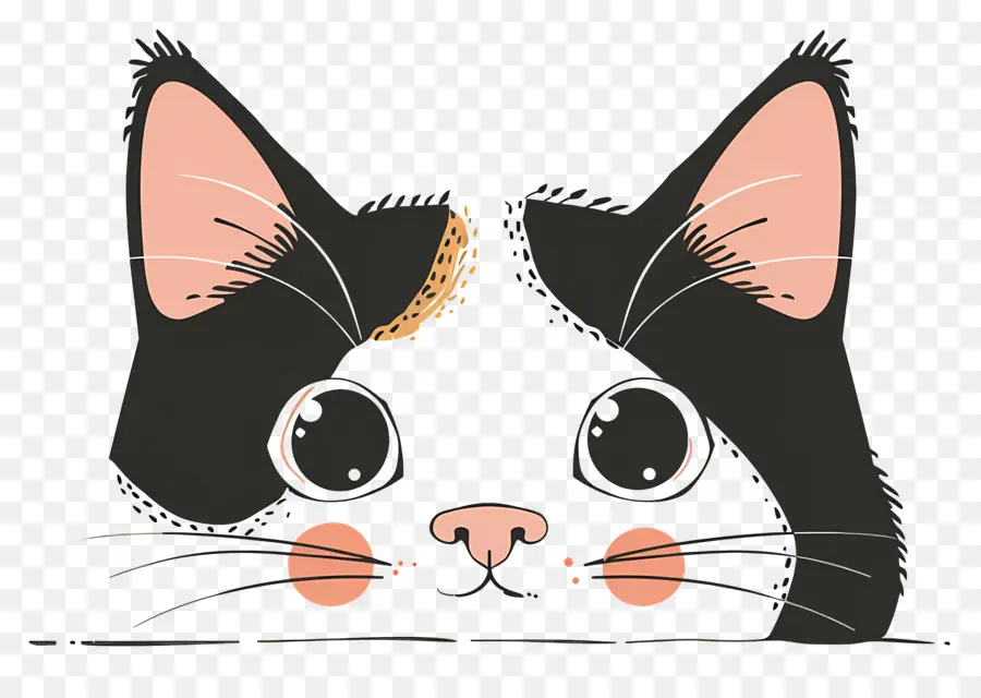 Gato Mirando，Gato Negro PNG