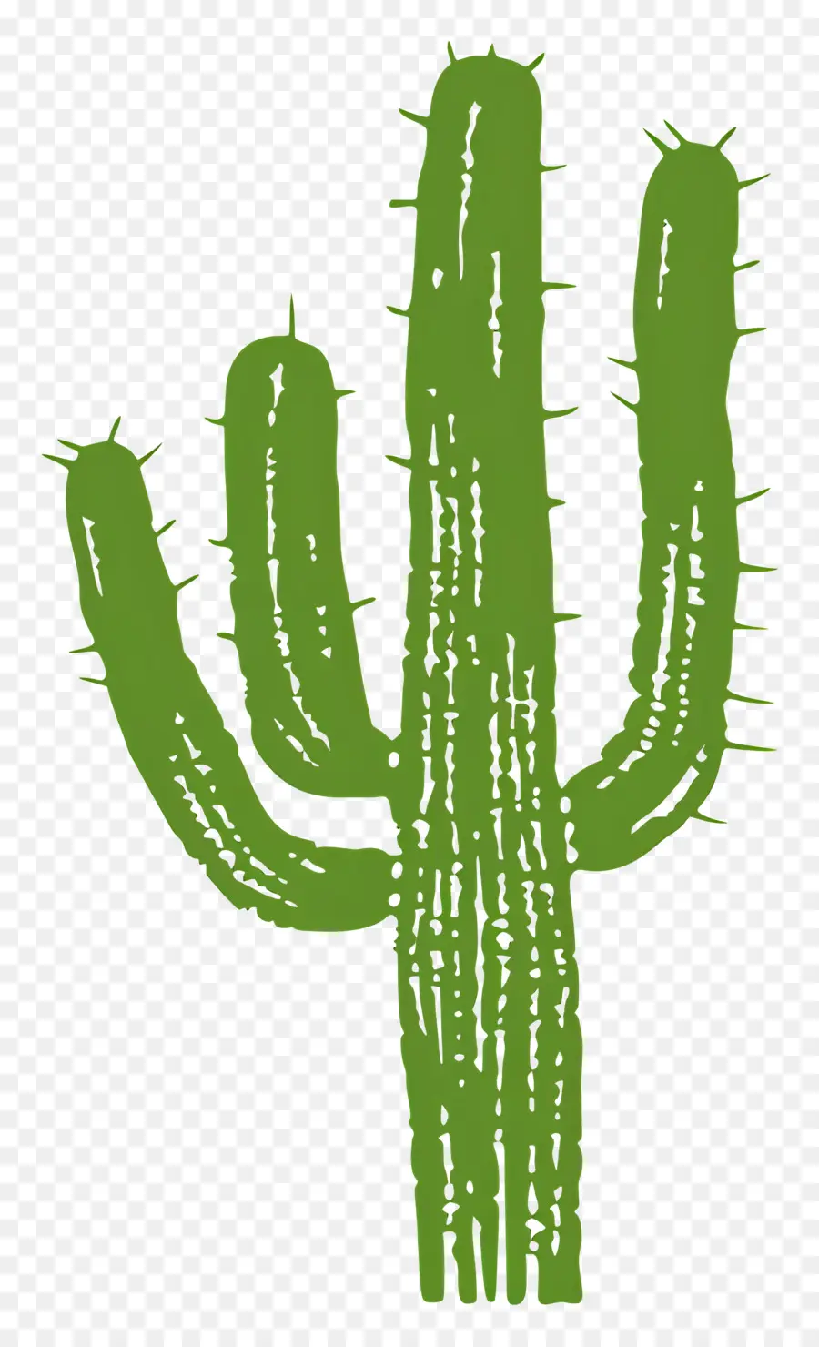 Silueta De Cactus Simple，Cactus PNG